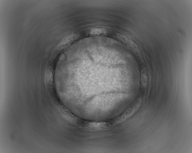 X0000112410375200909110955