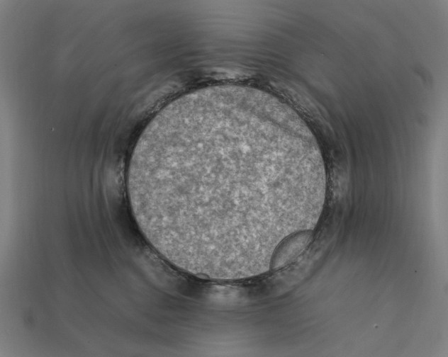 X0000112410376200909110955