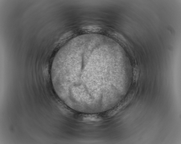 X0000112410377200909110955