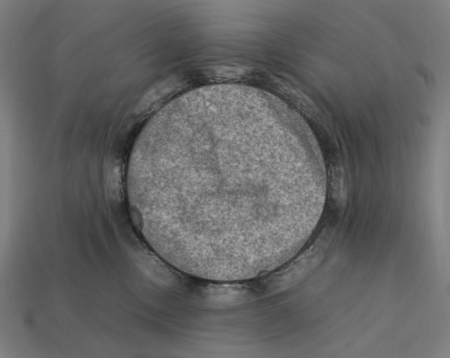 X0000112410378200909110955