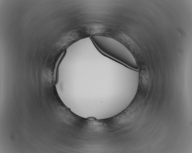 X0000112410380200909110955