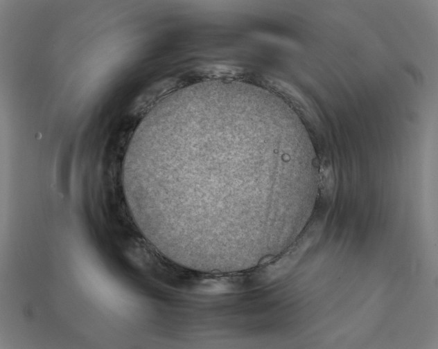 X0000112410381200909110955
