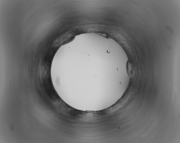 X0000112410382200909110955