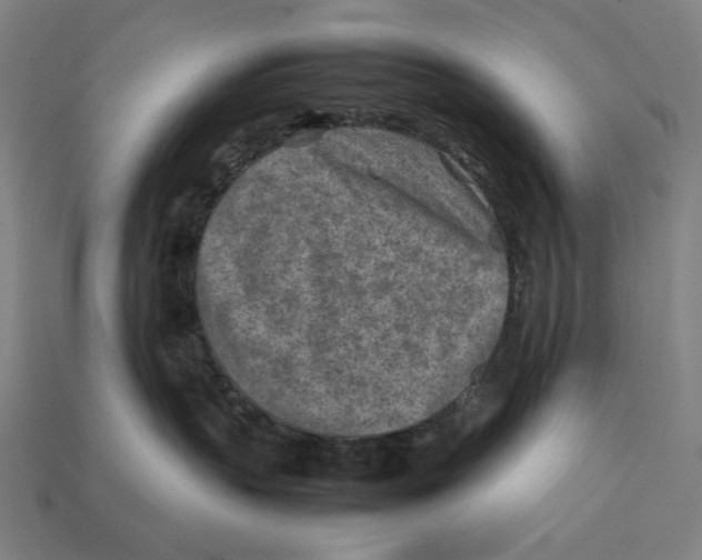 X0000112410383200909110955