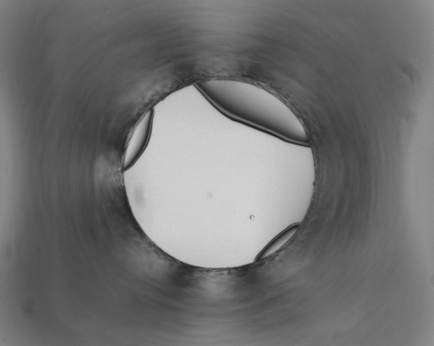 X0000112410384200909110955