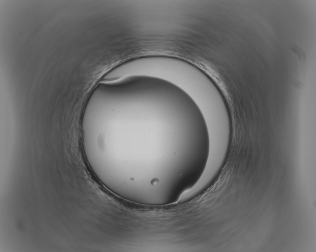 X0000112410385200909110954