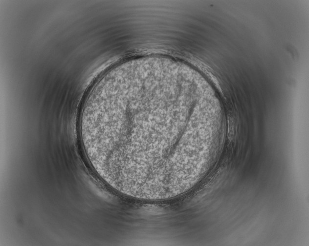 X0000112410390200909110954