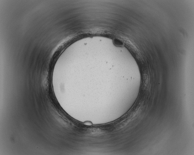 X0000112410392200909110954