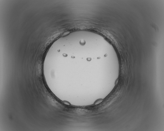 X0000112410393200909110954