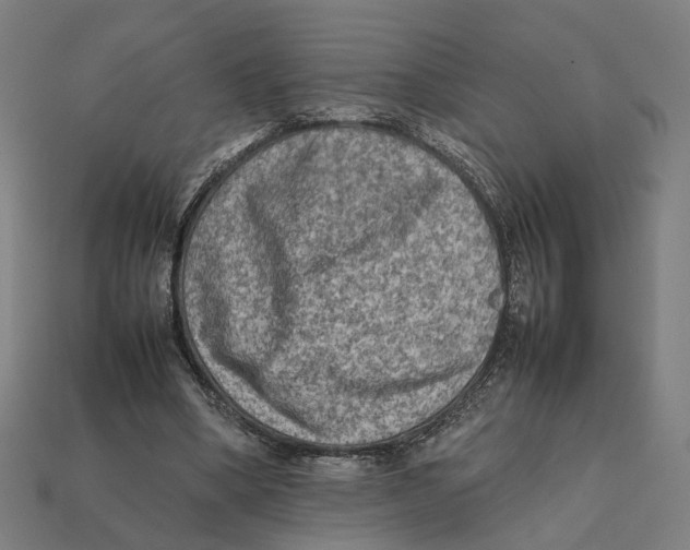 X0000112410394200909110954