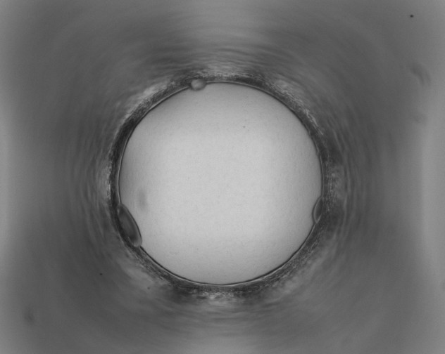 X0000112410395200909110954