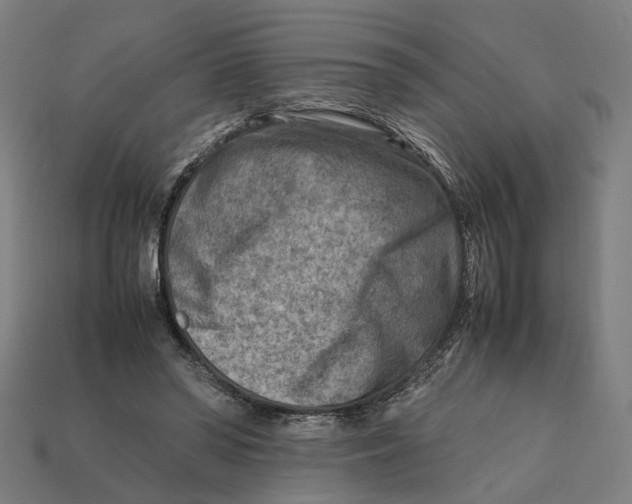 X0000112410398200909110954