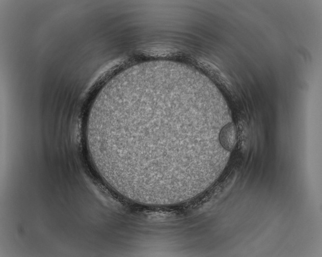 X0000112410400200909110954