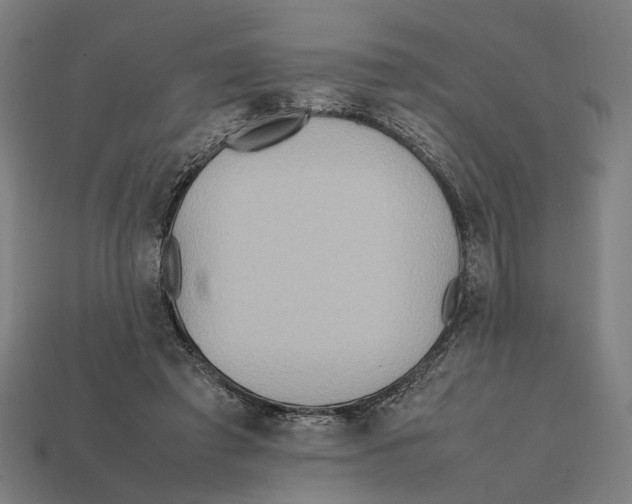 X0000112410401200909110954