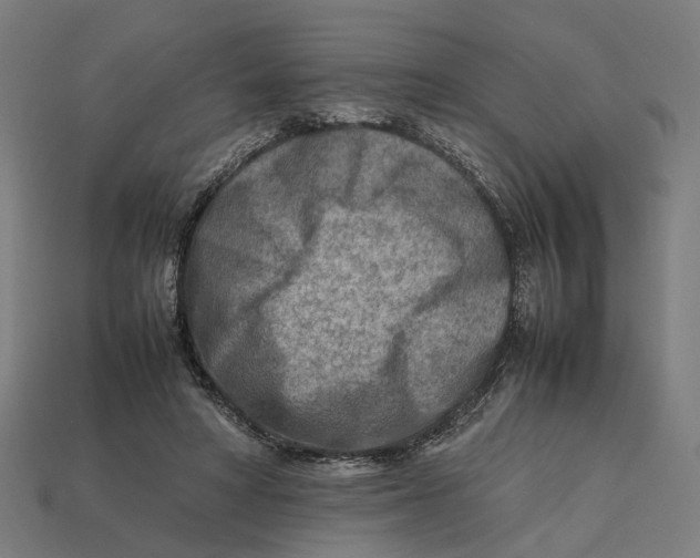 X0000112410402200909110954