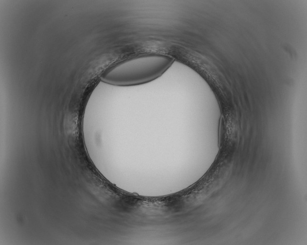 X0000112410403200909110954