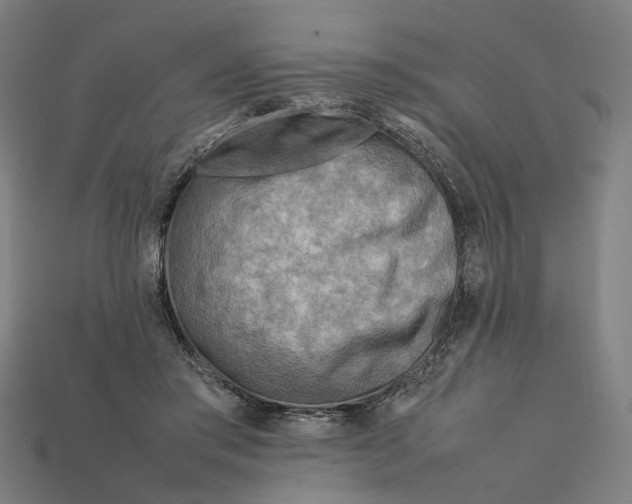 X0000112410405200909110954