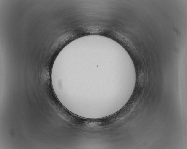 X0000112410407200909110954