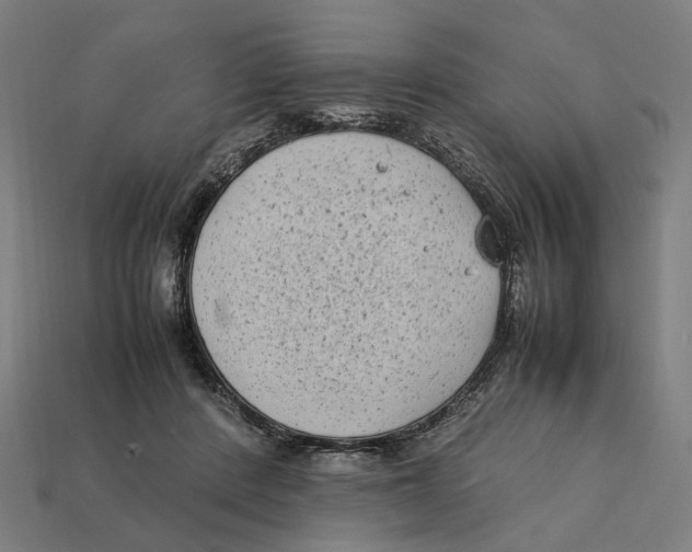 X0000112410408200909110954