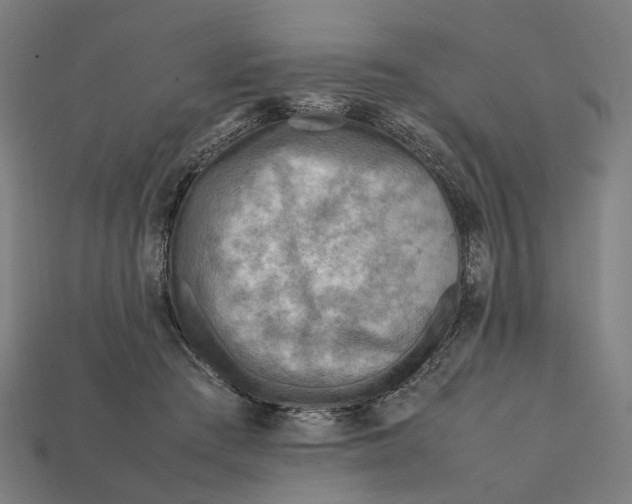 X0000112410409200909110954