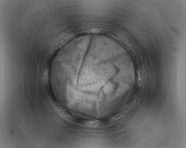 X0000112410410200909110954