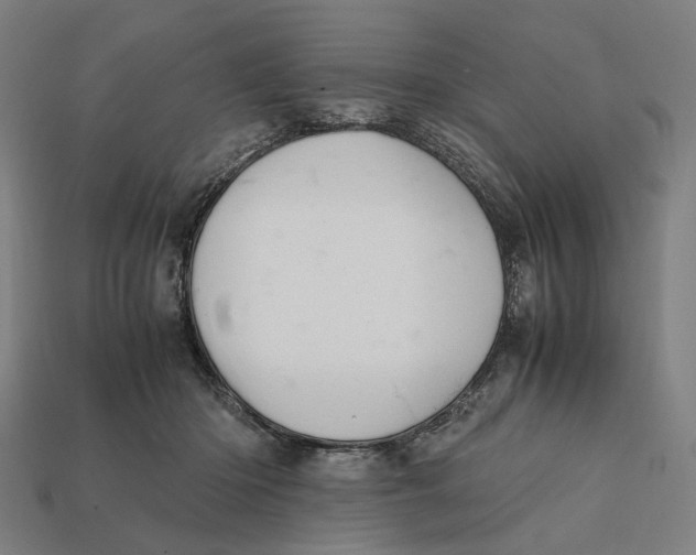 X0000112410414200909110954
