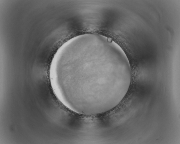 X0000112410415200909110954