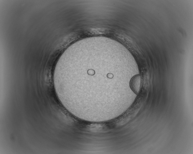X0000112410418200909110954