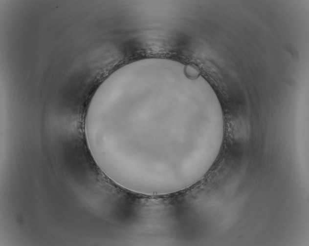 X0000112410419200909110954