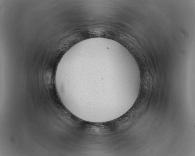 X0000112410420200909110954