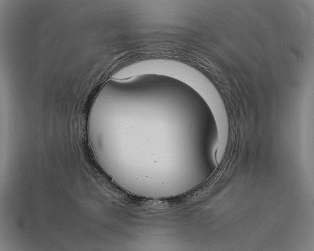 X0000112410421200909110954