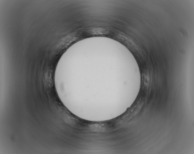 X0000112410422200909110954