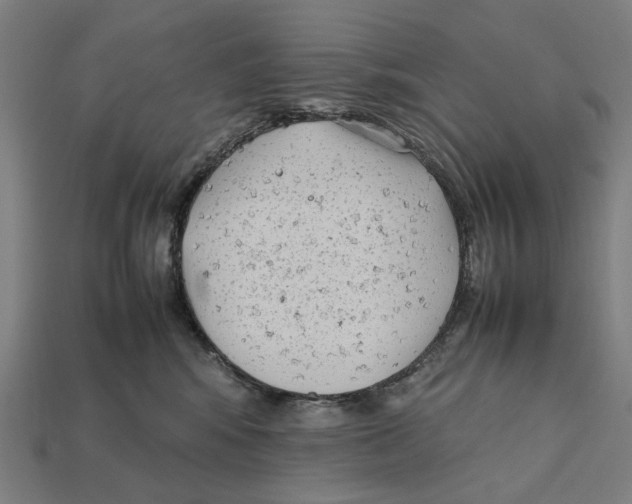 X0000112410424200909110954