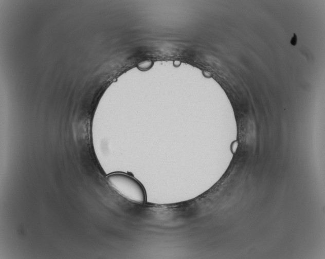 X0000112410425200909110953