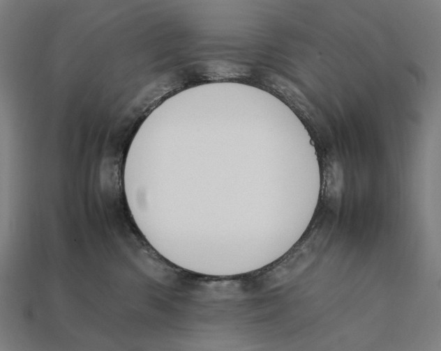 X0000112410426200909110953