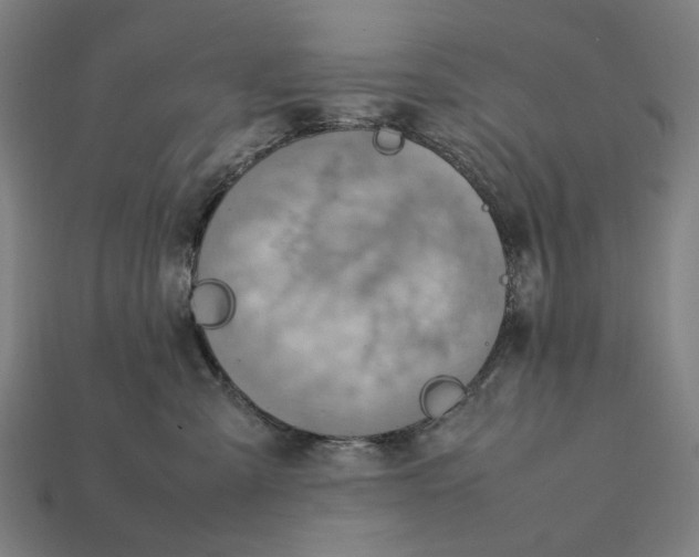 X0000112410427200909110953