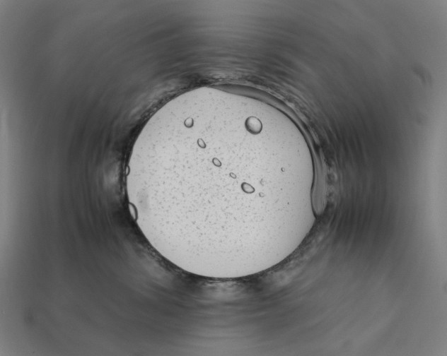 X0000112410428200909110953