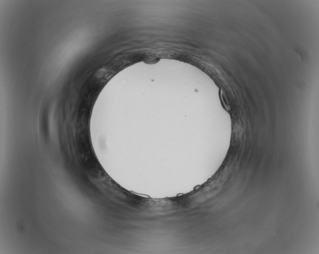 X0000112410429200909110953