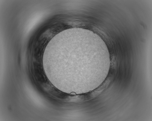 X0000112410430200909110953