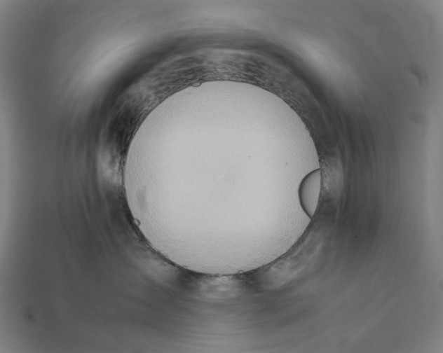 X0000112410431200909110953