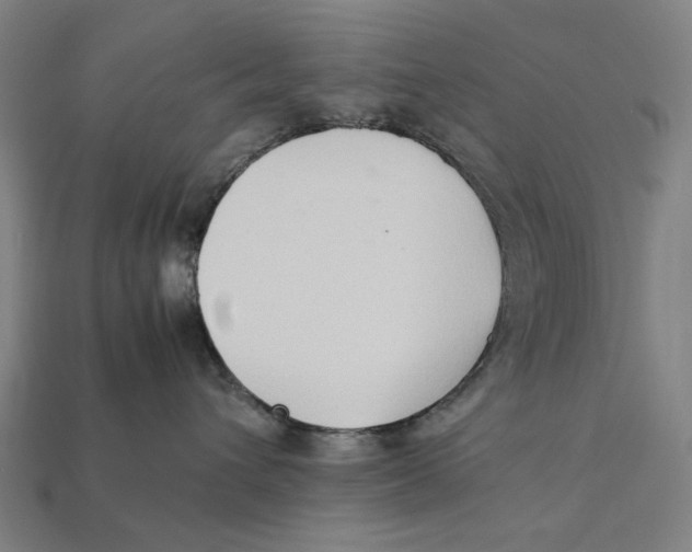 X0000112410432200909110953