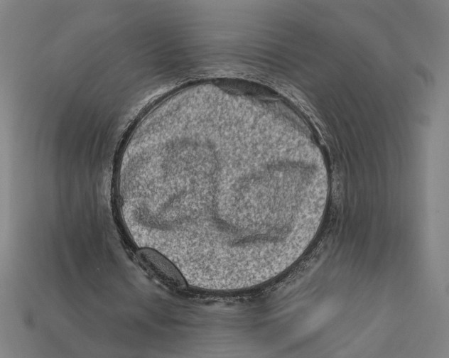 X0000112410434200909110953