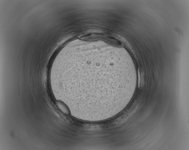 X0000112410435200909110953