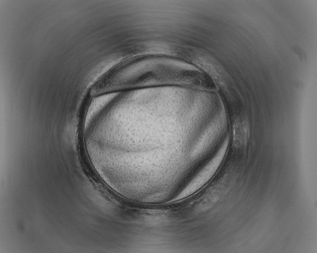 X0000112410436200909110953