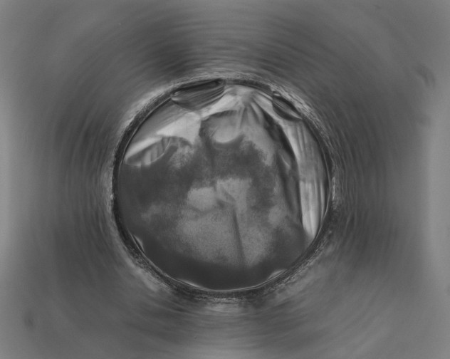 X0000112410438200909110953