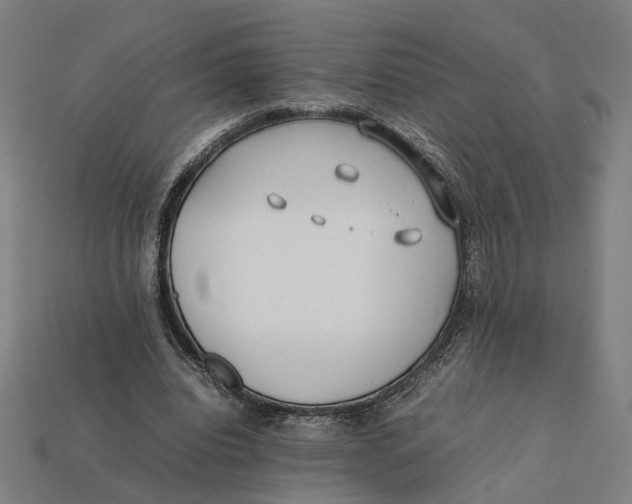 X0000112410440200909110953