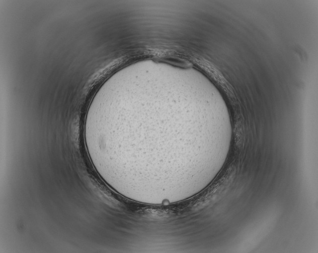X0000112410442200909110953