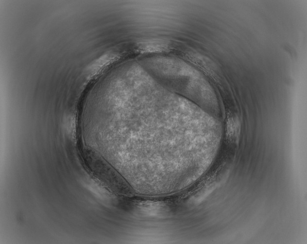 X0000112410444200909110953