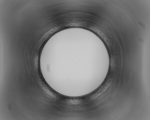 X0000112410445200909110953