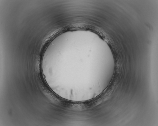X0000112410446200909110953